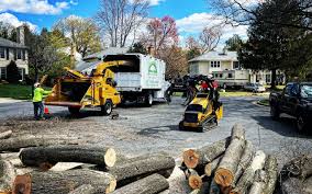 Leaf Removal in Burnham, IL